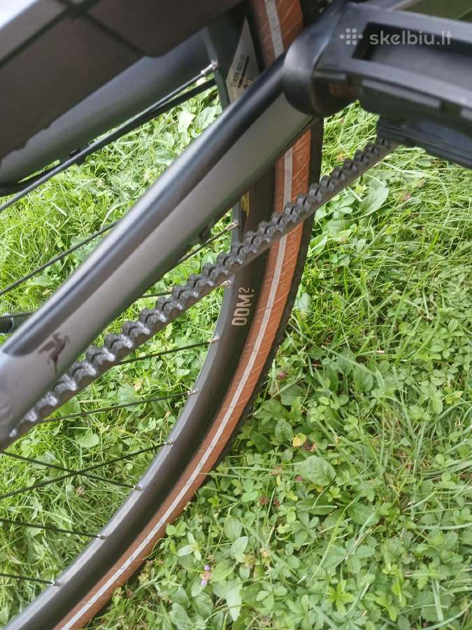 Pegasus premio SL - nuotraukos Nr. 7