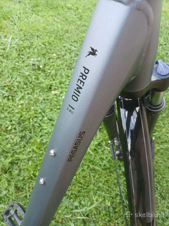Pegasus premio SL - nuotraukos Nr. 9