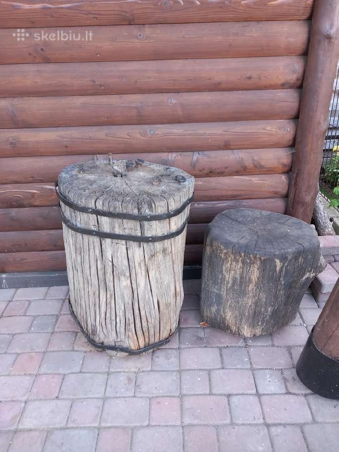 Ąžuolinė trinka - nuotraukos Nr. 2