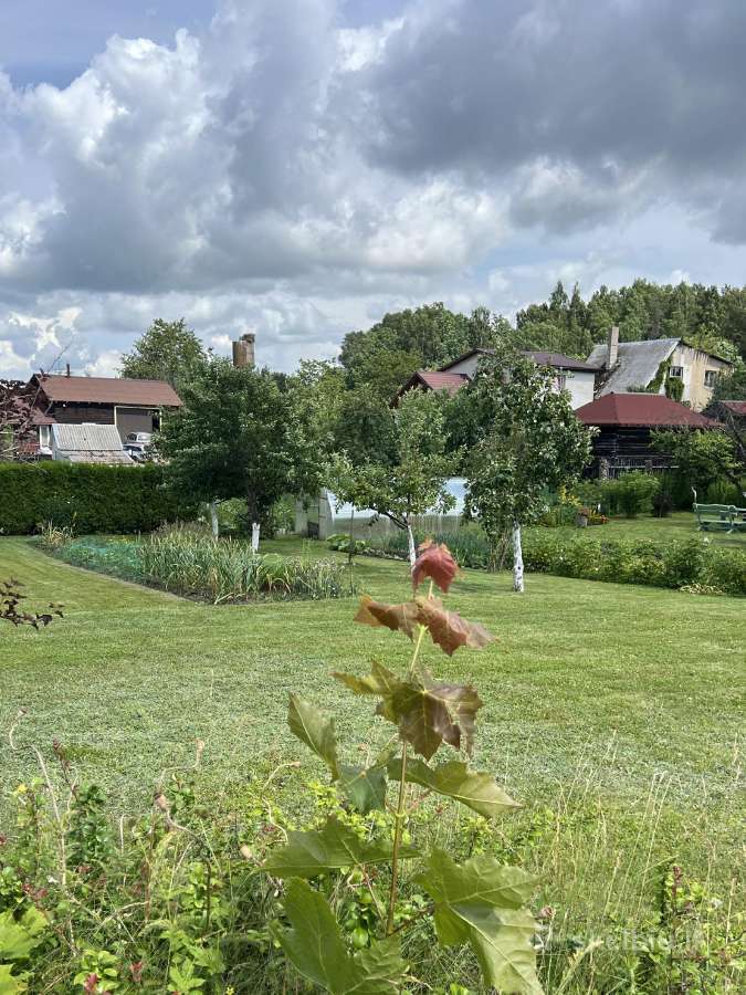 Parduodamas sodo sklypas Telšiuose - nuotraukos Nr. 8