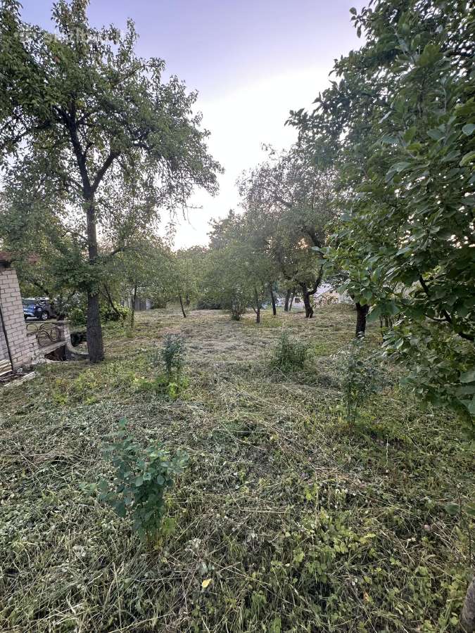 Vaismedziai pjovimui ieskau - nuotraukos Nr. 3