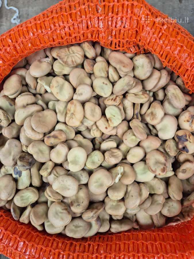 Didziosios pupos, 10kg 40e - nuotraukos Nr. 2