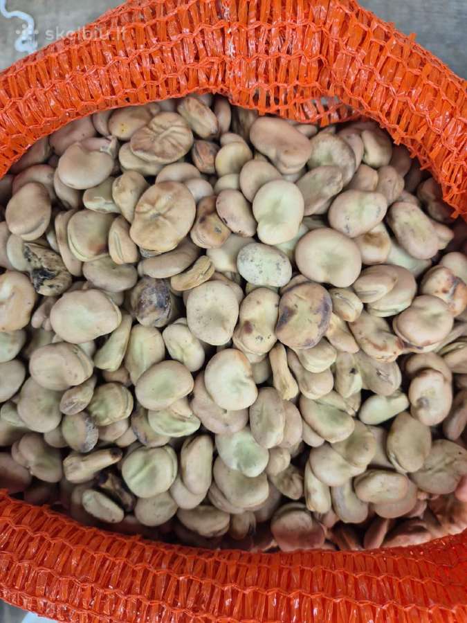 Didziosios pupos, 10kg 40e - nuotraukos Nr. 3