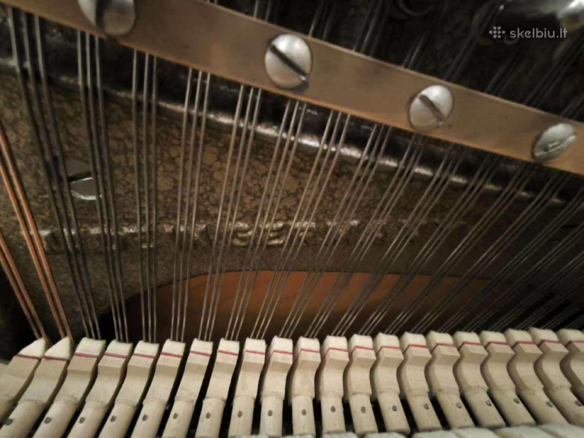 Solidus Eisenberg pianinas - nuotraukos Nr. 11