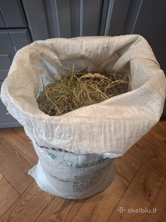 Dovanojamas jūrų kiaulytės narvas - nuotraukos Nr. 7