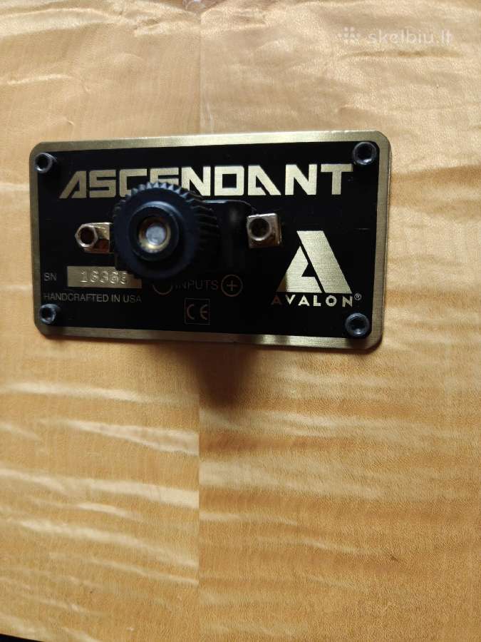 Avalon Ascendant - nuotraukos Nr. 6