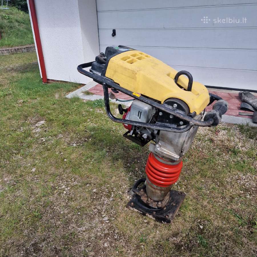Vibro koja - nuotraukos Nr. 2