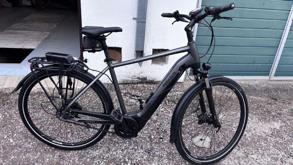 Pegasus Premio EVO 5F dviratis - nuotraukos Nr. 4