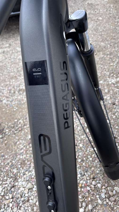 Pegasus Premio EVO 5F dviratis - nuotraukos Nr. 5