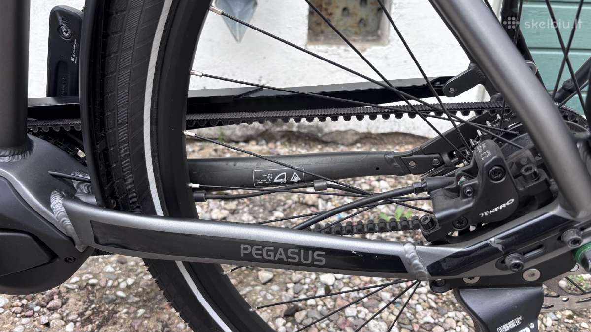 Pegasus Premio EVO 5F dviratis - nuotraukos Nr. 7