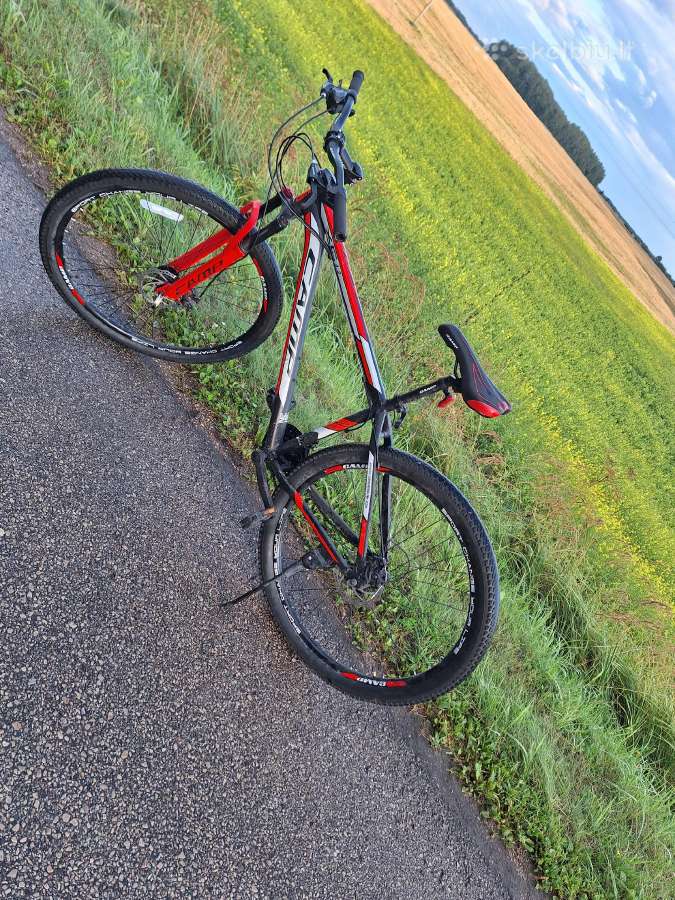 Buklė gera - nuotraukos Nr. 2