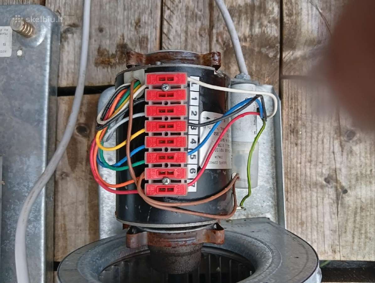 Sreiginei ventiljatorei vokiski - nuotraukos Nr. 21