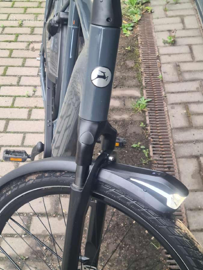 Gazelle grenoble Smart diržas 304 km 61 - nuotraukos Nr. 8
