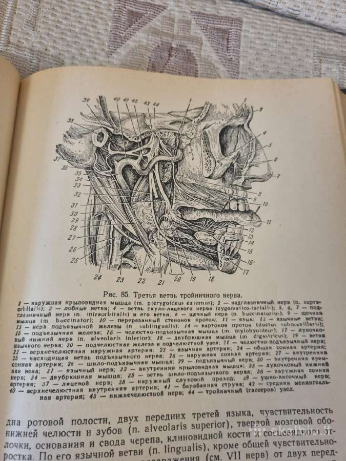 Нервние бопезни - nuotraukos Nr. 6