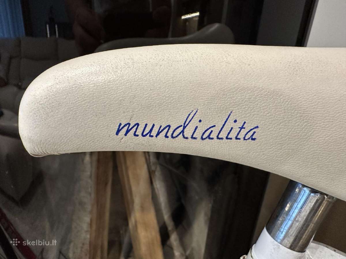 Vintažinis dviratis Motobecane Sprint - nuotraukos Nr. 11