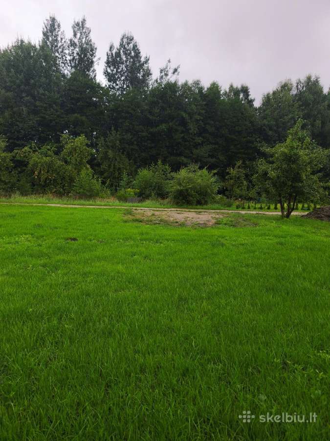 Parduodamas prižiūrėtas sodas SB „Aisė" - nuotraukos Nr. 12