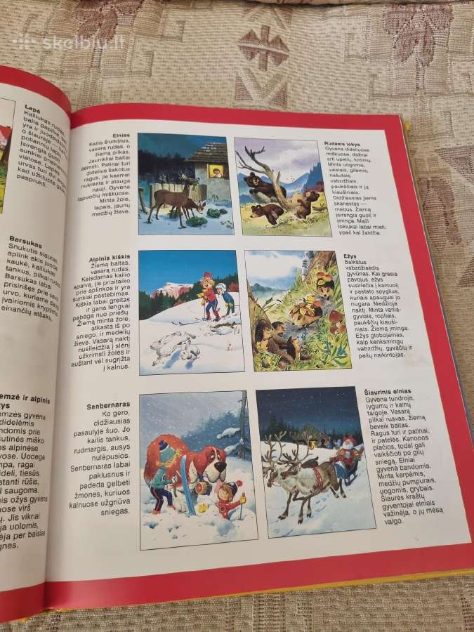 Apie Pasaulio žvėris ir paukščius - nuotraukos Nr. 4