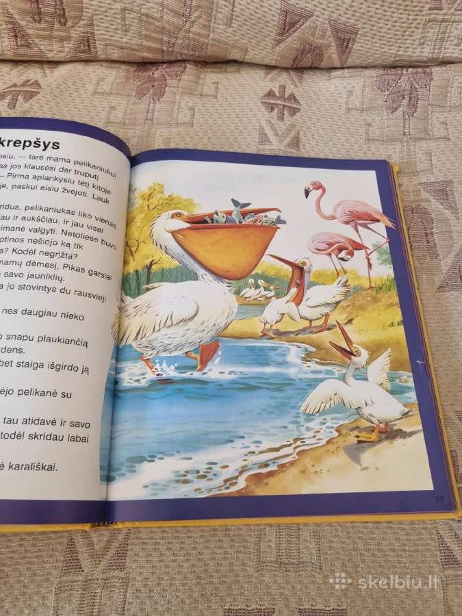 Apie Pasaulio žvėris ir paukščius - nuotraukos Nr. 6