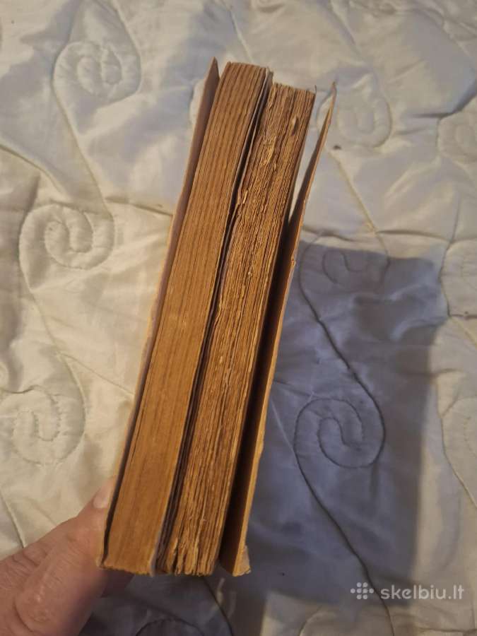 Altorių šešėly - nuotraukos Nr. 7