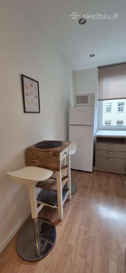 Nuomojamas Tvarkingas 2 Kambarių Butas Slucko G. - nuotraukos Nr. 17