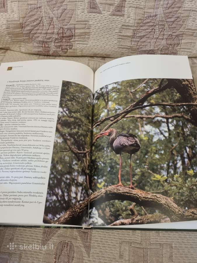 Mažeikių krašto gamta - nuotraukos Nr. 6