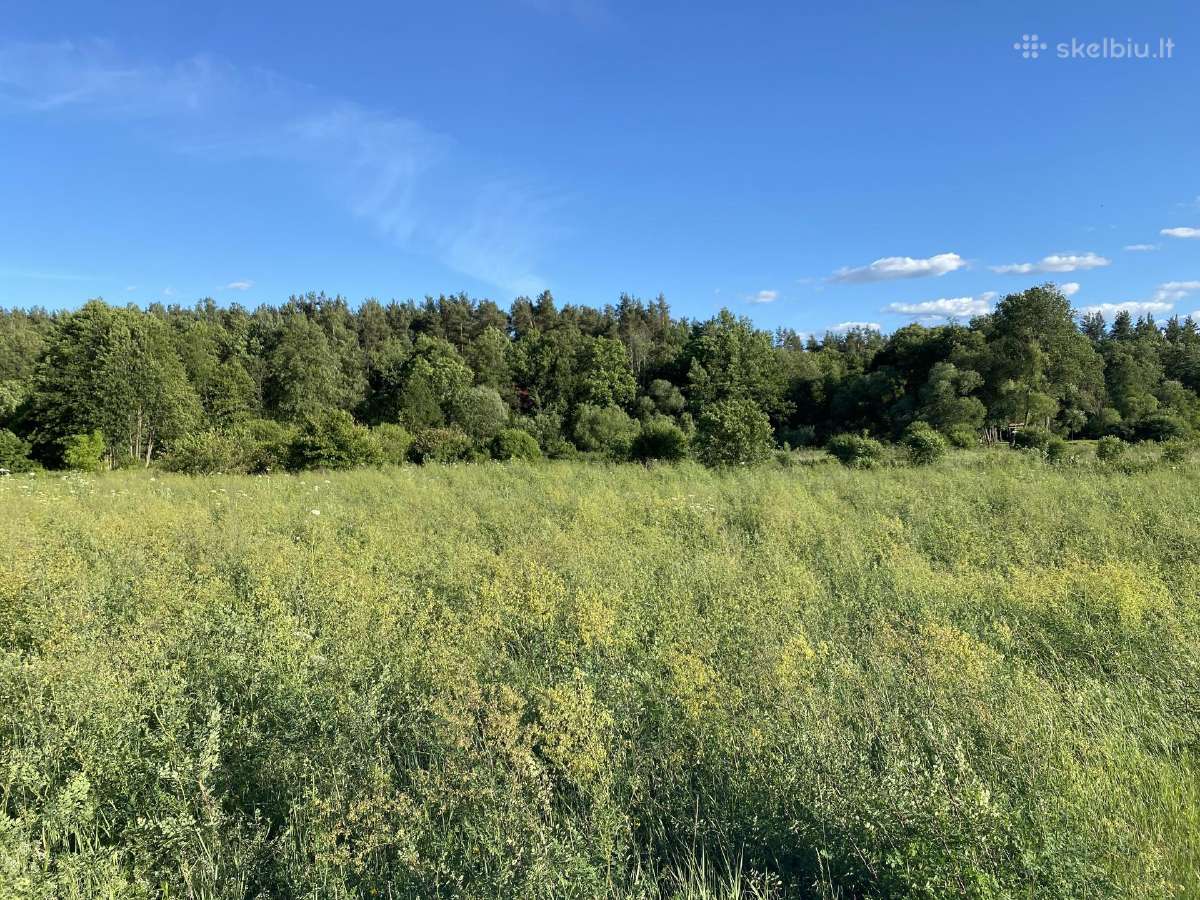 35 a sklypas salia Merkio S. Varenoje - nuotraukos Nr. 2