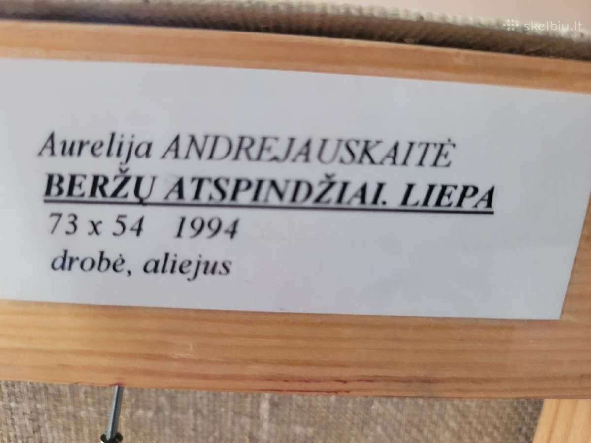 Parduodami paveikslai - nuotraukos Nr. 13