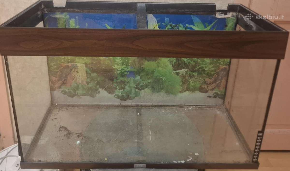 Juvel Akvariumo Stiklas - nuotraukos Nr. 2