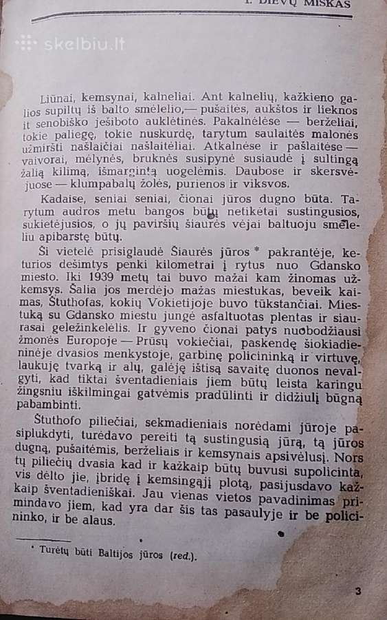 Dievų miškas - nuotraukos Nr. 4