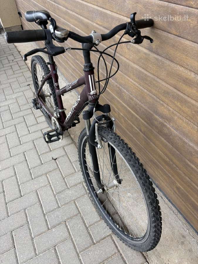 Dviratis Panther x100 - nuotraukos Nr. 4