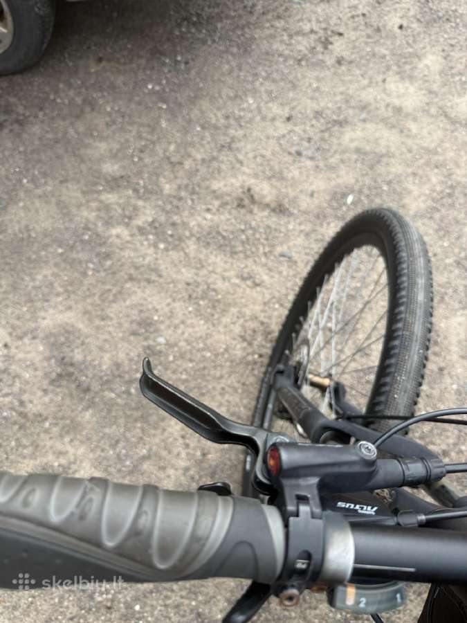 MTB dviratis 29 - nuotraukos Nr. 3