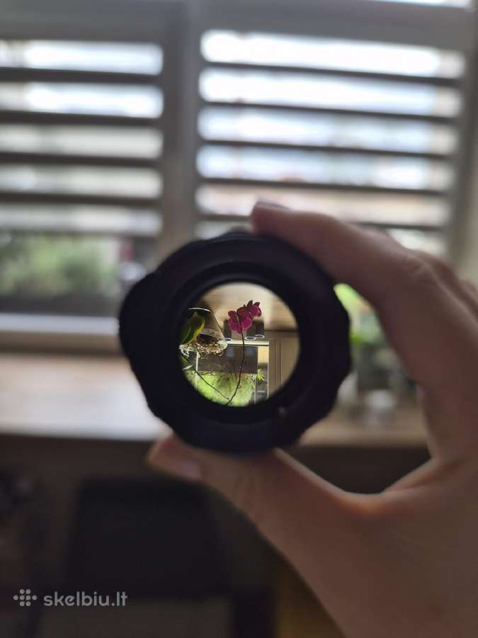 Super Takumar 50mm f/1.4 (M42 jungtis) - nuotraukos Nr. 3