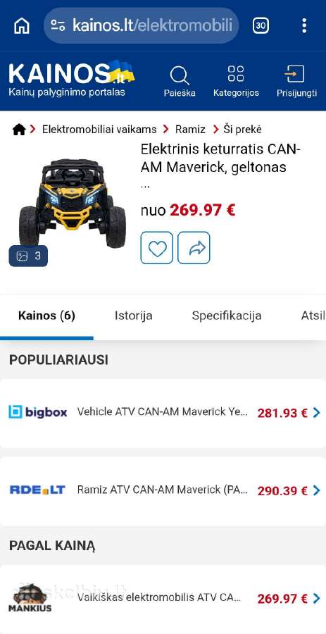 Elekrinis visureigis. - nuotraukos Nr. 19