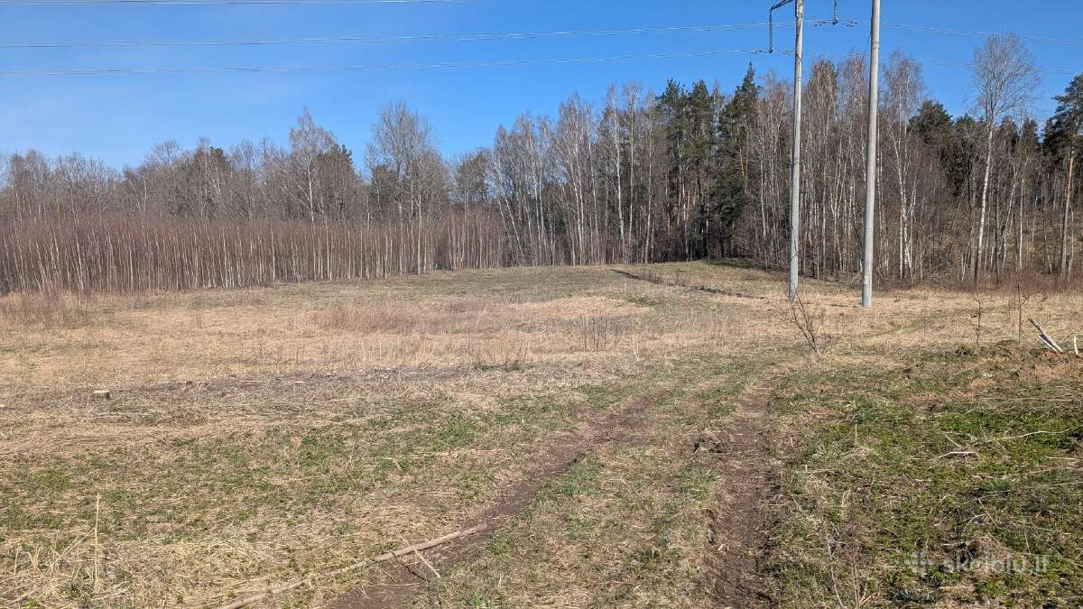 2.1 ha sklypas - nuotraukos Nr. 2