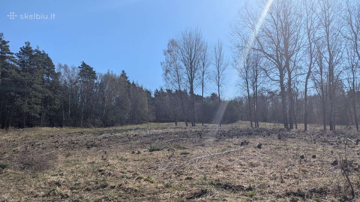 2.1 ha sklypas - nuotraukos Nr. 3