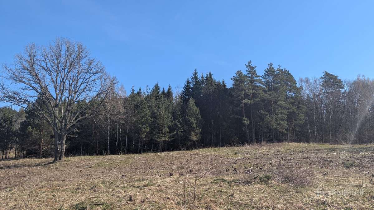 2.1 ha sklypas - nuotraukos Nr. 4