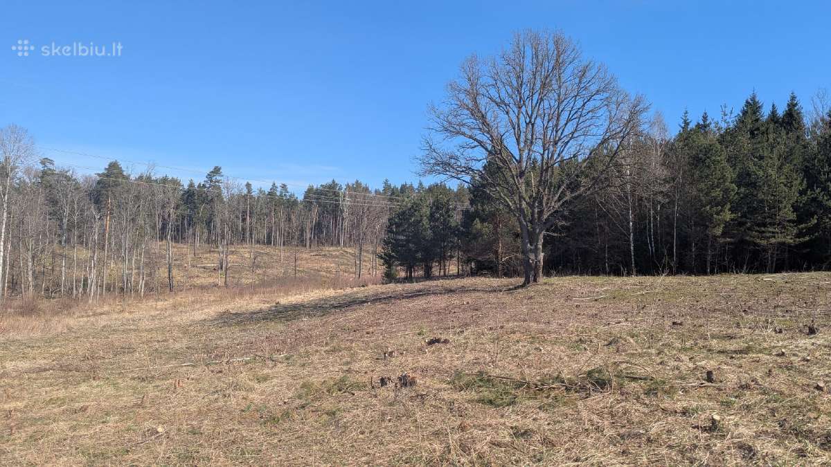 2.1 ha sklypas - nuotraukos Nr. 5