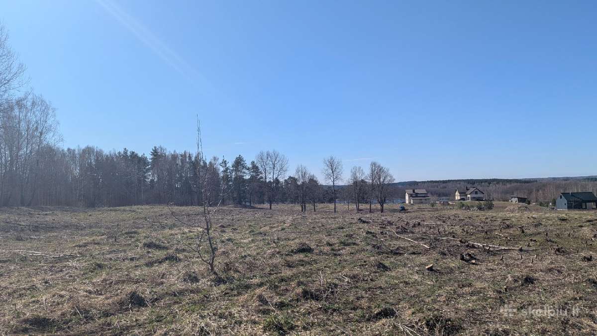 2.1 ha sklypas - nuotraukos Nr. 6