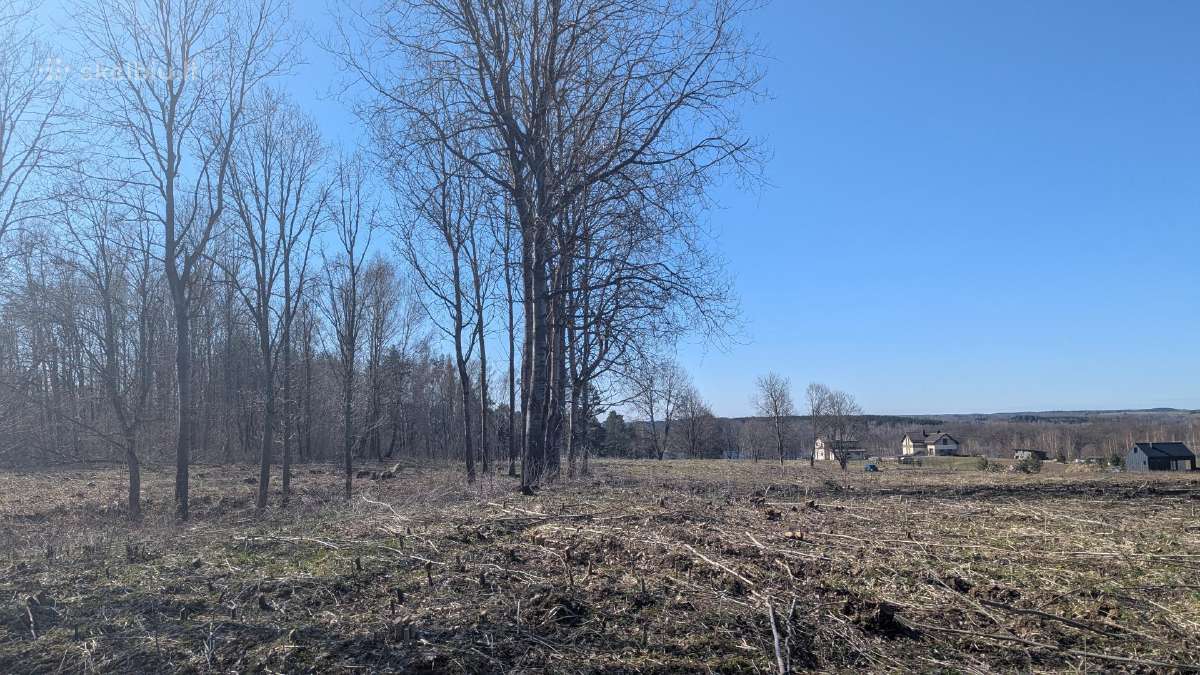 2.1 ha sklypas - nuotraukos Nr. 7