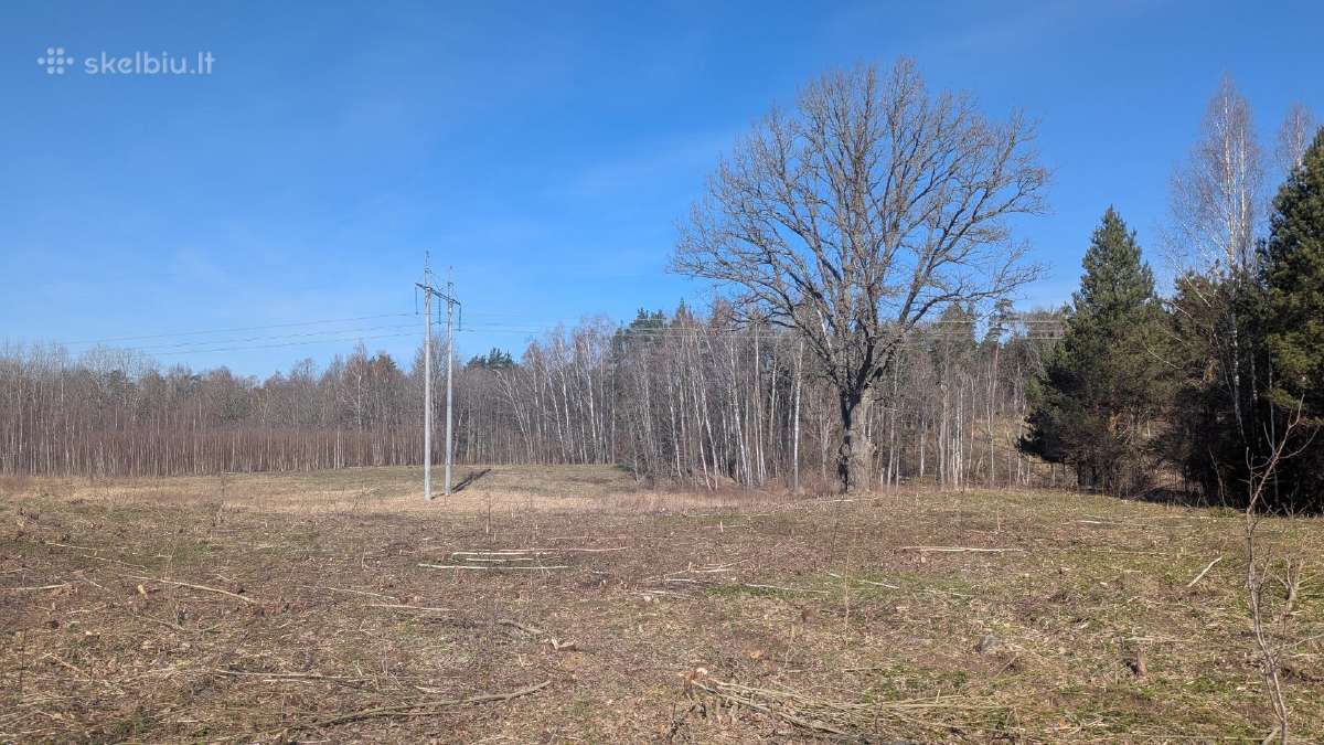 2.1 ha sklypas - nuotraukos Nr. 9