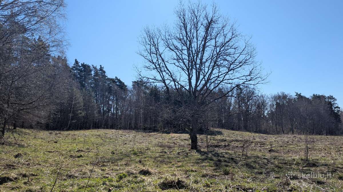 2.1 ha sklypas - nuotraukos Nr. 10
