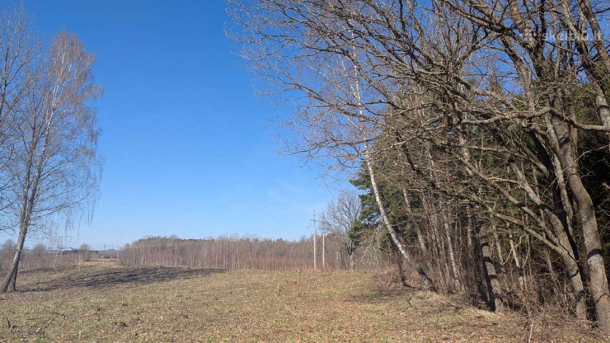 2.1 ha sklypas - nuotraukos Nr. 11