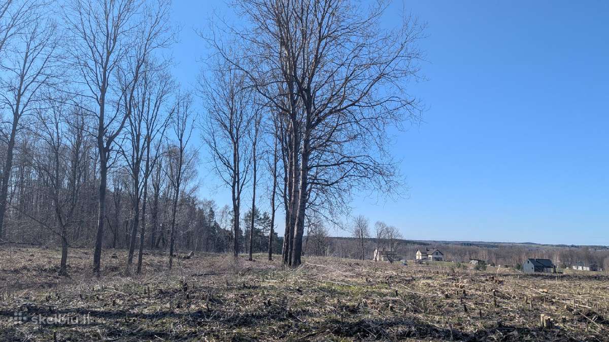 2.1 ha sklypas - nuotraukos Nr. 12