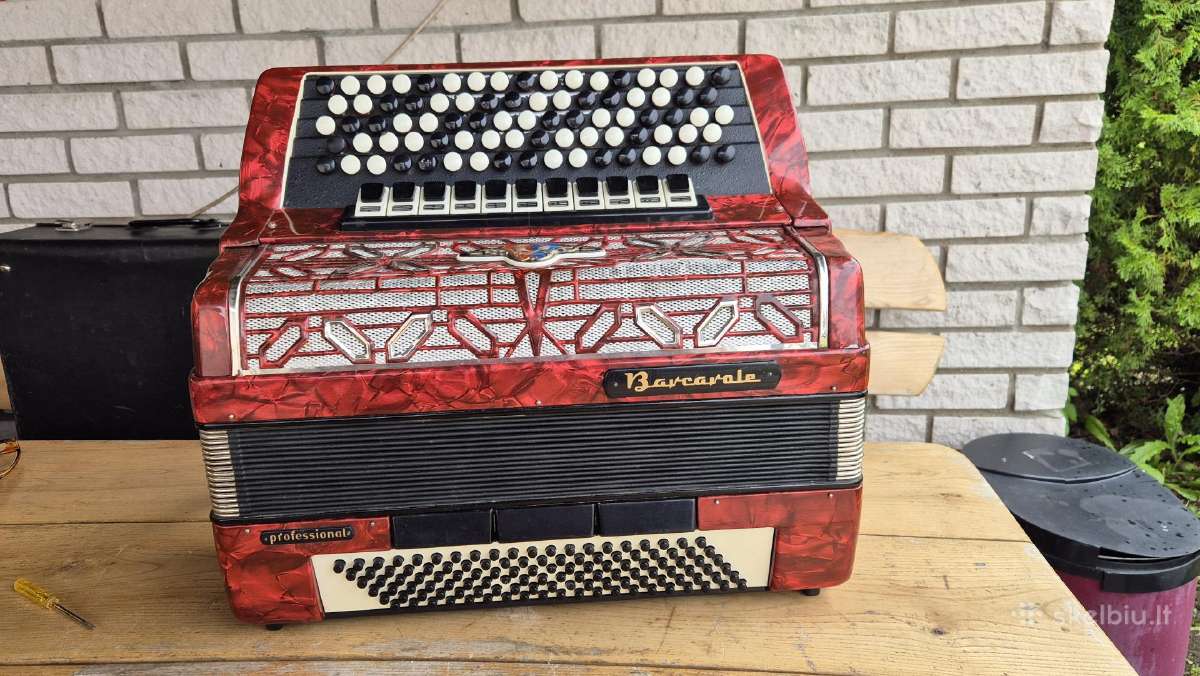 Vokiškas bajanas Barcarole - nuotraukos Nr. 6