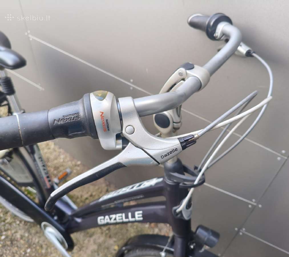 Gazelle - nuotraukos Nr. 4