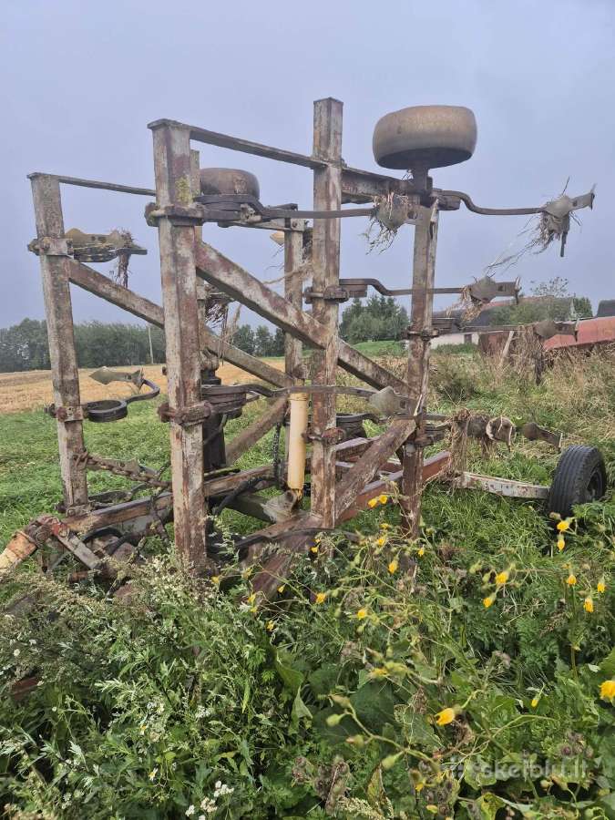Noraginis skutikas - nuotraukos Nr. 2