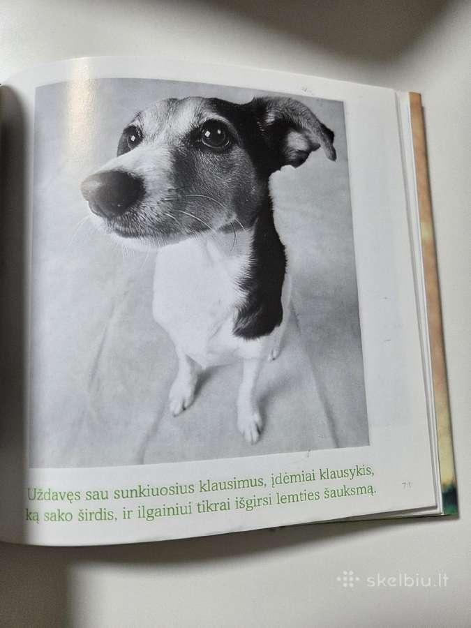 Bradley Trevor Greive Tai kas tas gyvenimas. - nuotraukos Nr. 3