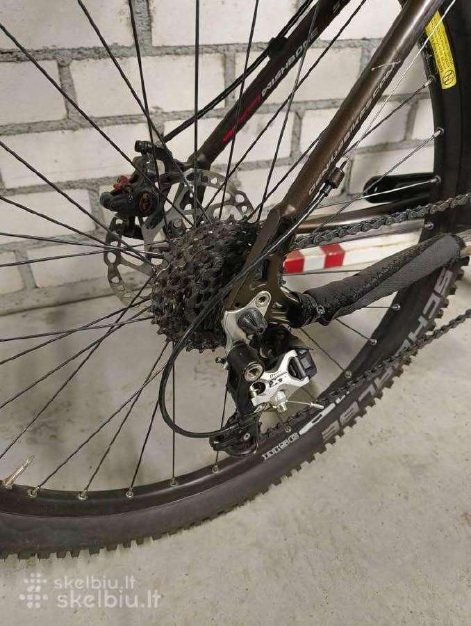 Genius Apache XC M Rockshox Reba SLX/XT - nuotraukos Nr. 5
