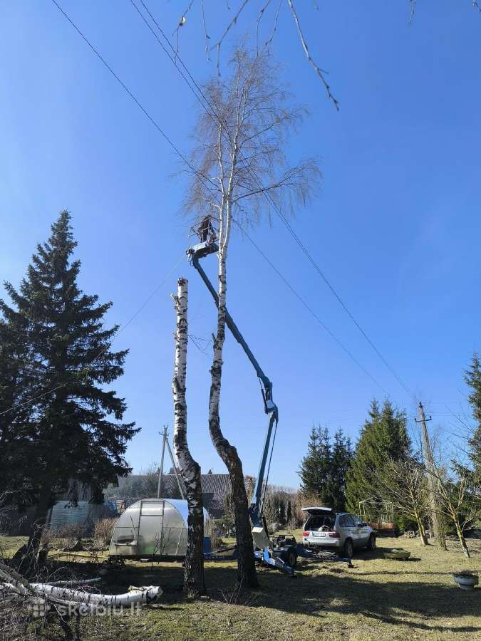 Up-right tl-49 alkuninis bokstelis - nuotraukos Nr. 8