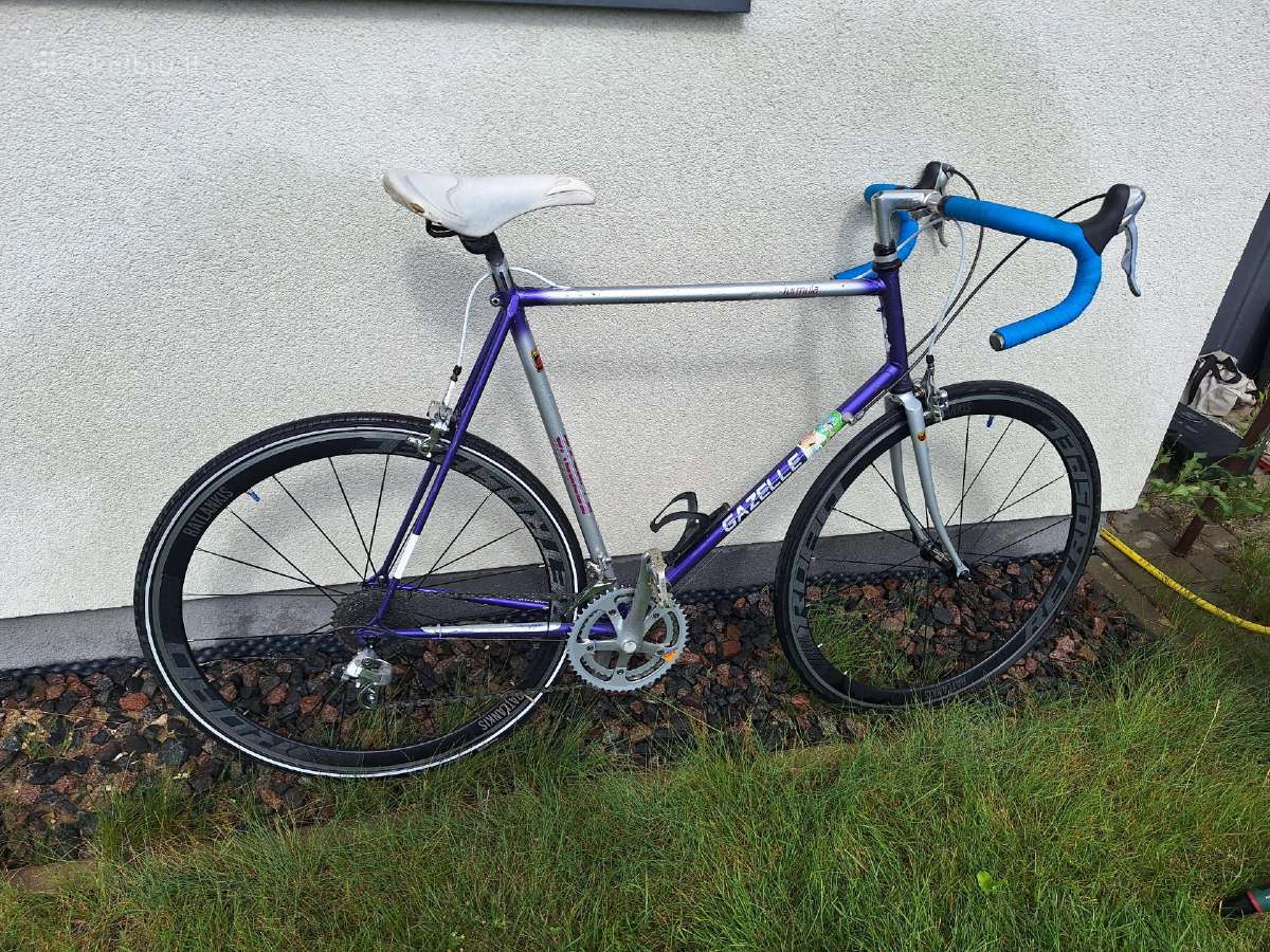 Gazelle Formula - nuotraukos Nr. 8